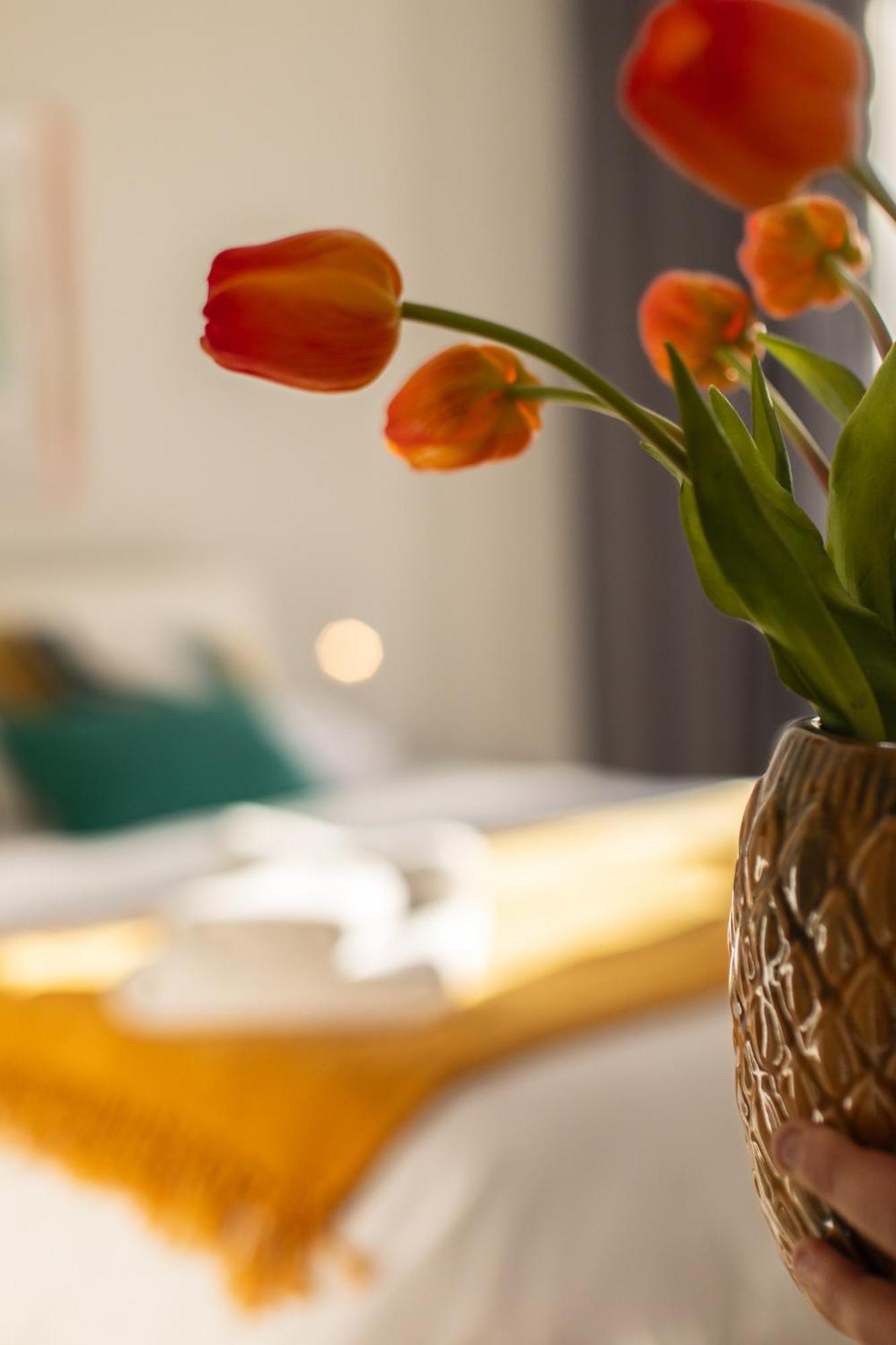 Veigas De Iria - Apartamento Turistico Vut Padrón Extérieur photo