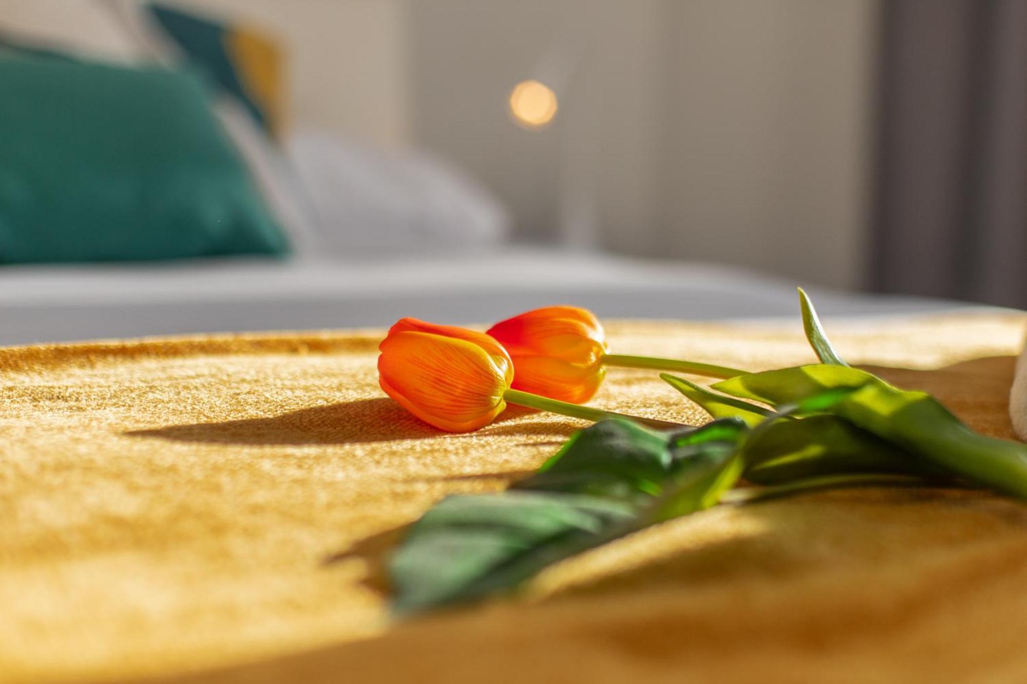 Veigas De Iria - Apartamento Turistico Vut Padrón Extérieur photo